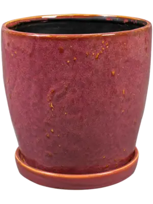 Pot With Saucer Cherry