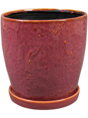 Pot With Saucer Cherry