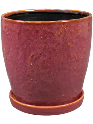 Pot With Saucer Cherry