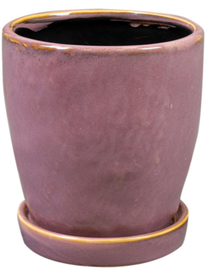 Pot With Saucer Mauve