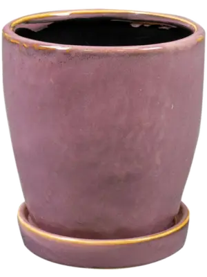 Pot With Saucer Mauve