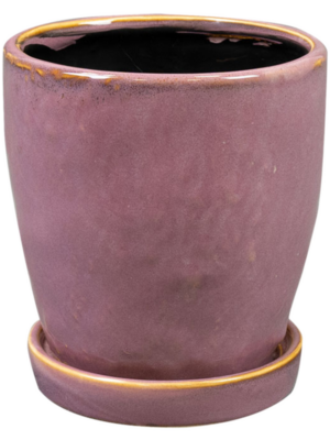 Pot With Saucer Mauve