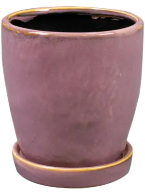 Pot With Saucer Mauve