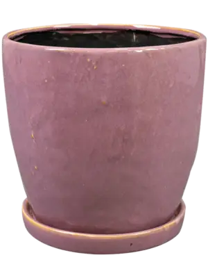 Pot With Saucer Mauve
