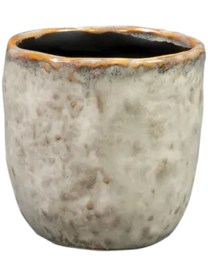 Pot Ivory