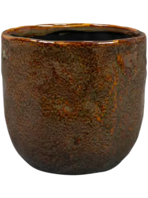 Pot Desert