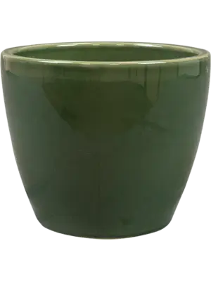 Pot Sage