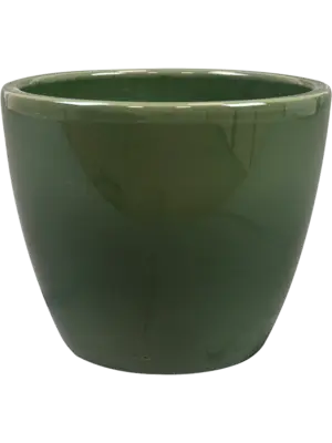 Pot Sage