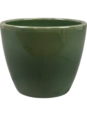 Pot Sage