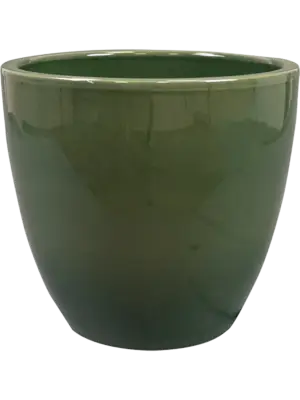 Pot Sage