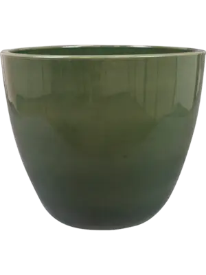 Pot Sage