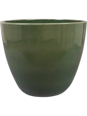 Pot Sage