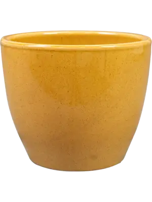 Pot Mustard