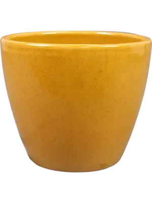 Pot Mustard