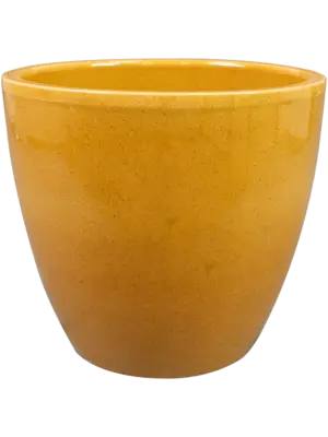 Pot Mustard