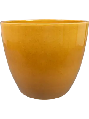 Pot Mustard