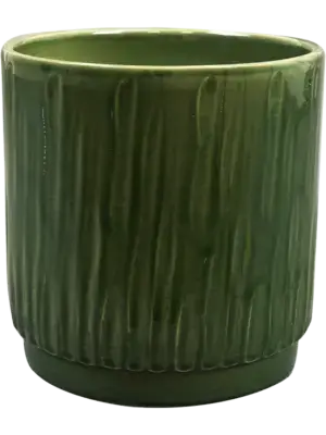 Pot Sage