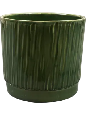 Pot Sage