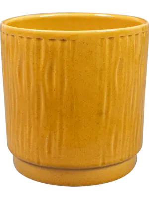 Pot Mustard