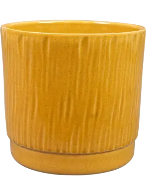 Pot Mustard