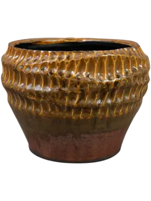 Pot Savannah