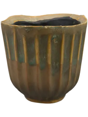 Pot Thyme