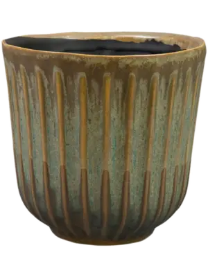 Pot Thyme