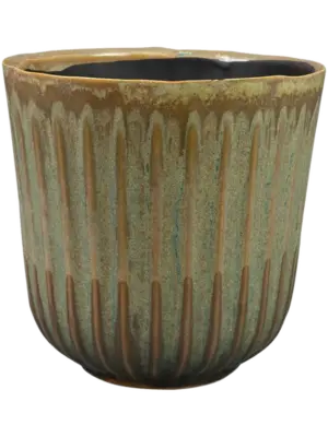 Pot Thyme