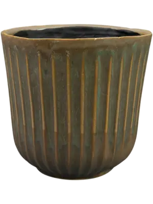 Pot Thyme