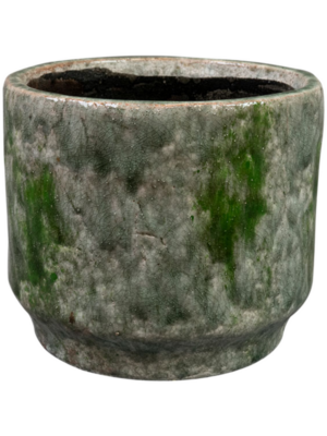 Pot Moss Green