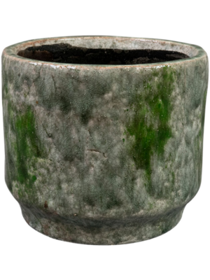 Pot Moss Green
