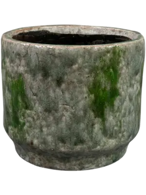 Pot Moss Green