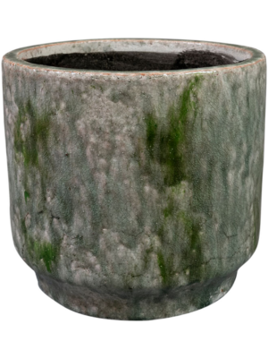 Pot Moss Green
