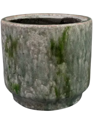Pot Moss Green