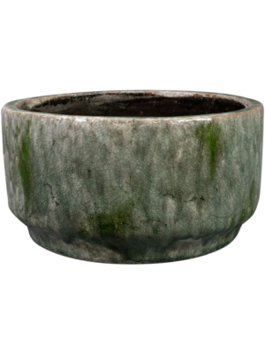 Bowl Moss Green