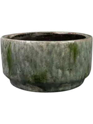 Bowl Moss Green