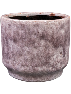 Pot Lilac