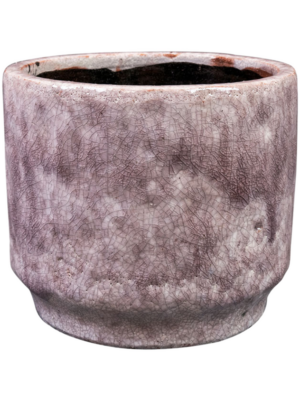 Pot Lilac