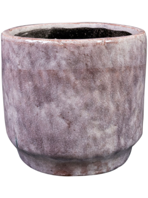 Pot Lilac