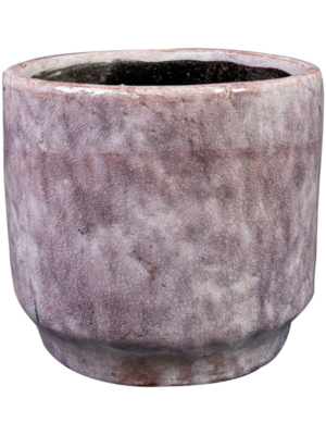 Pot Lilac