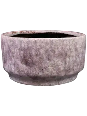 Bowl Lilac