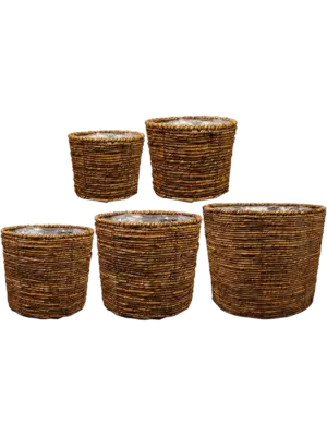 Pot Corn Brown (set of 5)