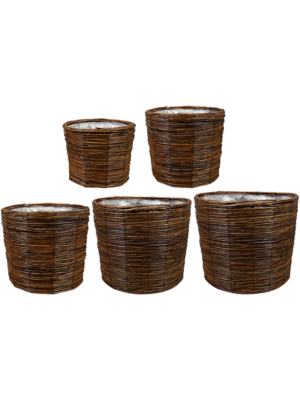 Pot Willow Brown (set of 5)