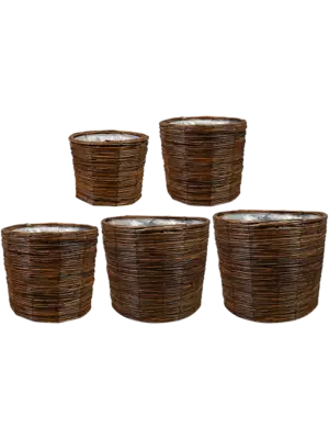 Pot Willow Brown (set of 5)