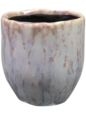 Pot Lavender