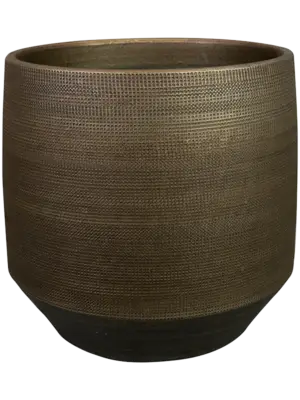 Pot Chestnut