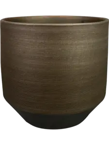 Norell