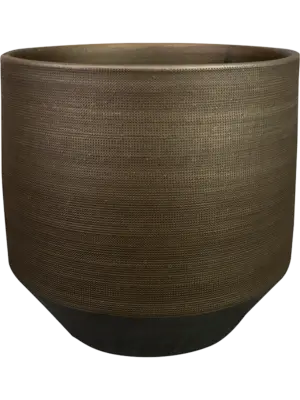 Pot Chestnut