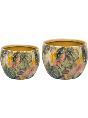 Pot Monstera Mystery (set of 2)