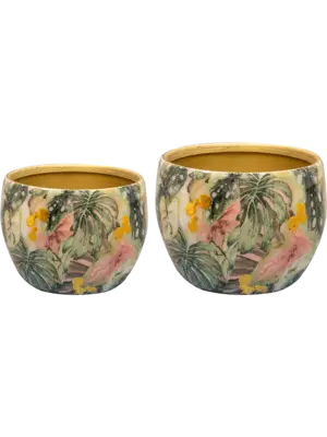 Pot Monstera Mystery (set of 2)